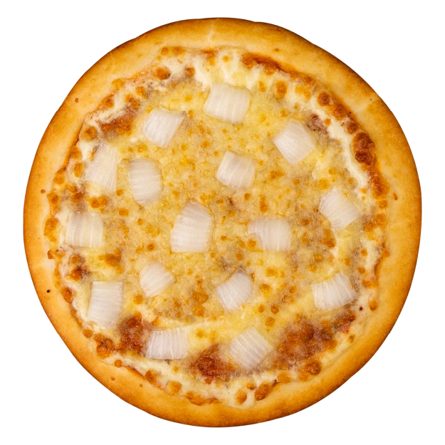 Onion pizza